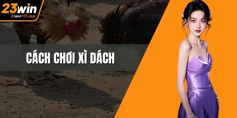 Cách Chơi Xì Dách Thông Minh Để Nhận Quà Khủng Tại 23WIN