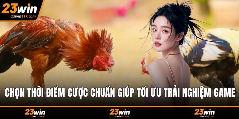 Chọn thời điểm cược chuẩn giúp tối ưu trải nghiệm game
