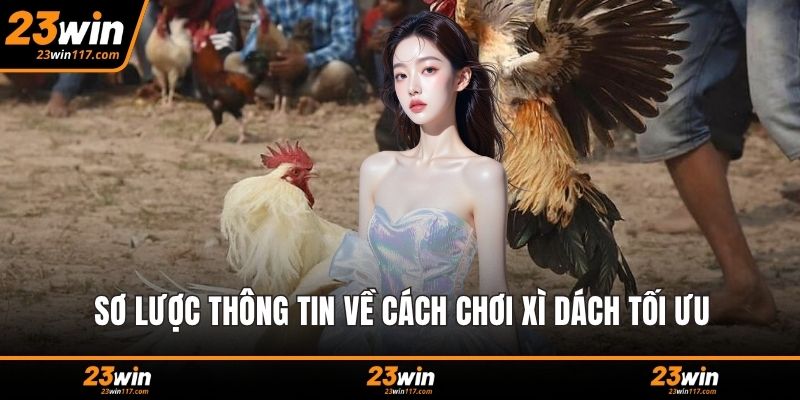 Sơ lược thông tin về cách chơi xì dách tối ưu